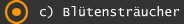 c) Bl&uuml;tenstr&auml;ucher