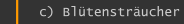 c) Bl&uuml;tenstr&auml;ucher